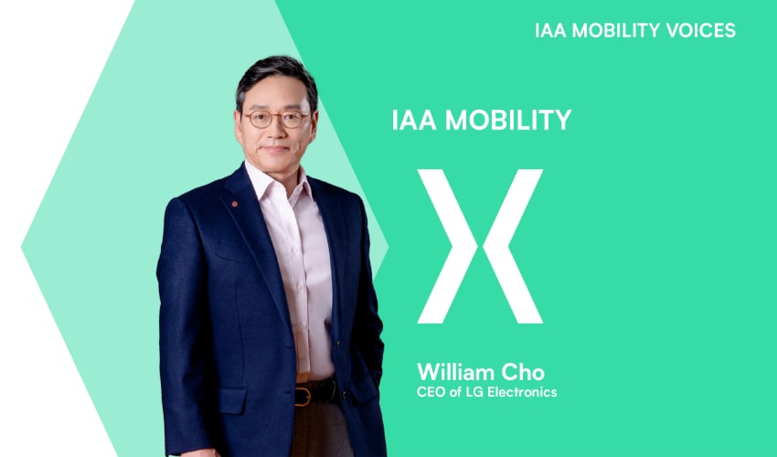 MS_body%20%20banner_230814