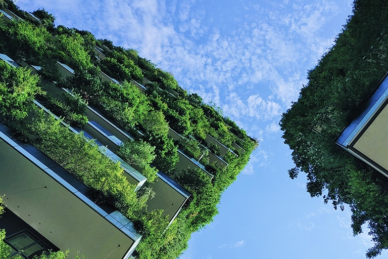 Βιωσιμότητα 1