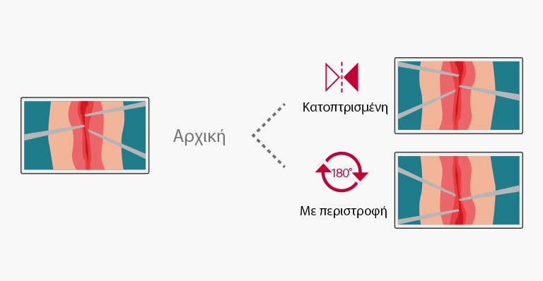 Αναποδογυρίστε και περιστρέψτε εύκολα το μόνιτορ για να το προσαρμόσετε στις ανάγκες σας. Οι λειτουργίες κατοπτρισμού και περιστροφής σας επιτρέπουν να επιλέξετε μια άνετη απεικόνιση με περιστροφή 180 μοιρών/ κατοπτρισμένη εικόνα.