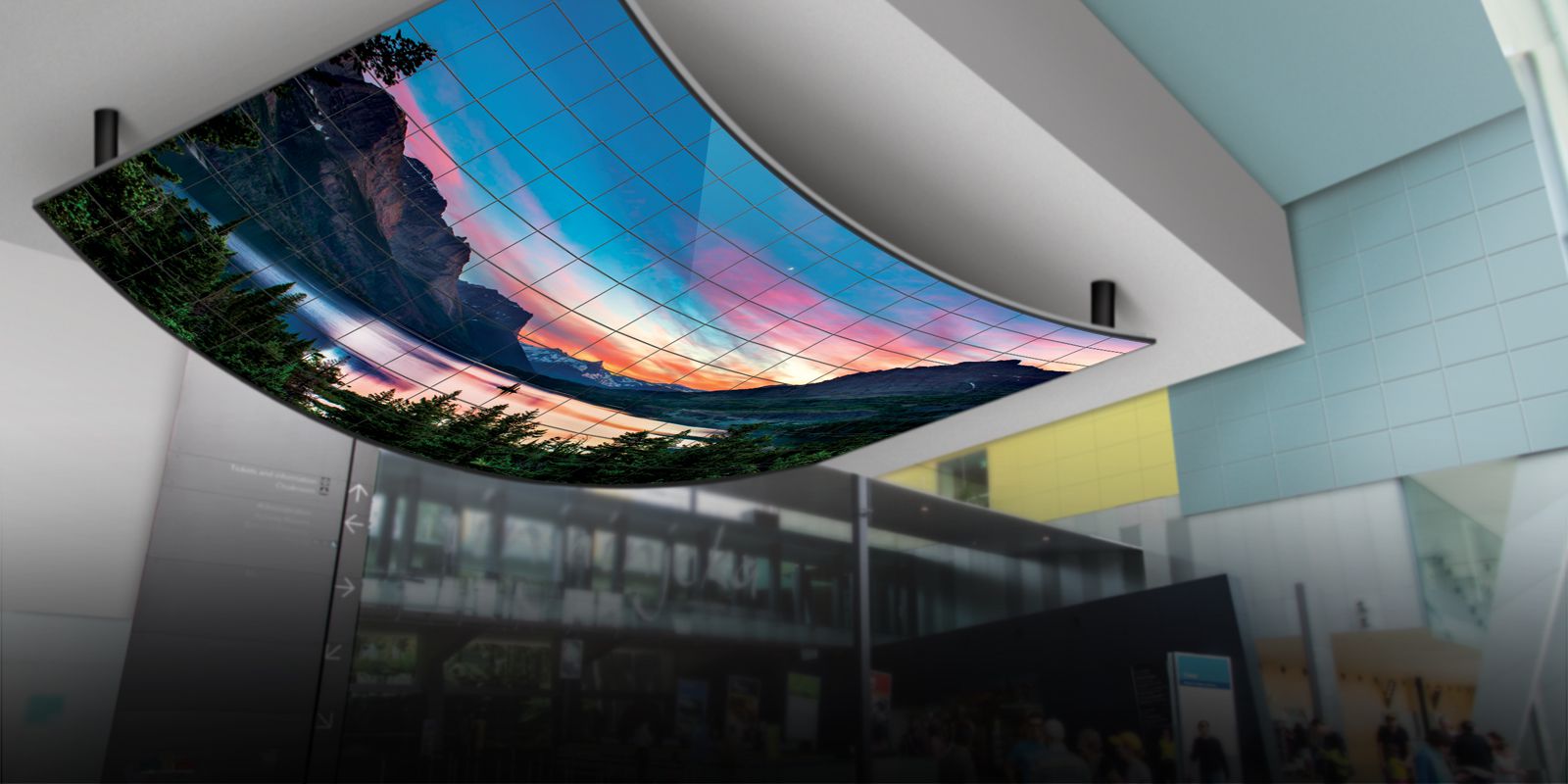 Flexible Open Frame OLED Signage