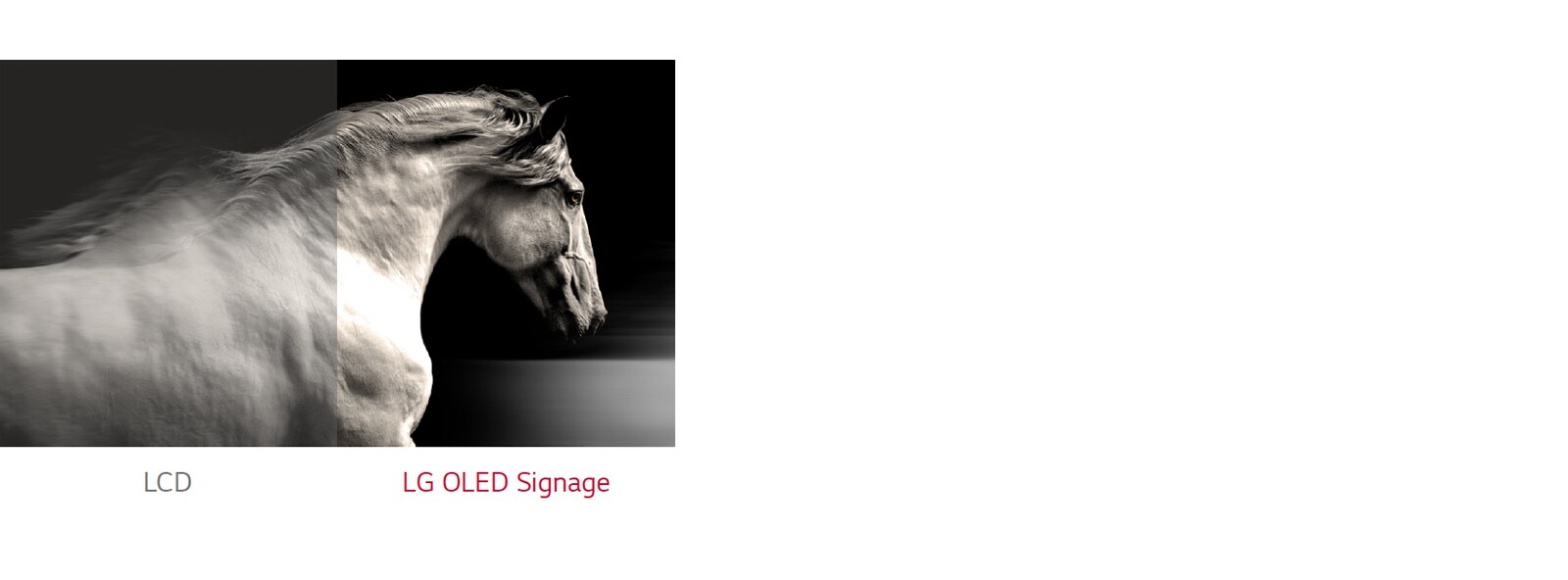 Η LG OLED Signage αποδίδει καλύτερη αντίθεση μεταξύ μαύρου και λευκού από μια τυπική LCD.