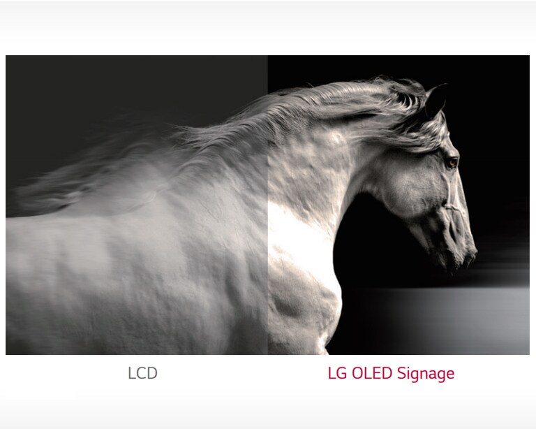 Απόλυτο μαύρο