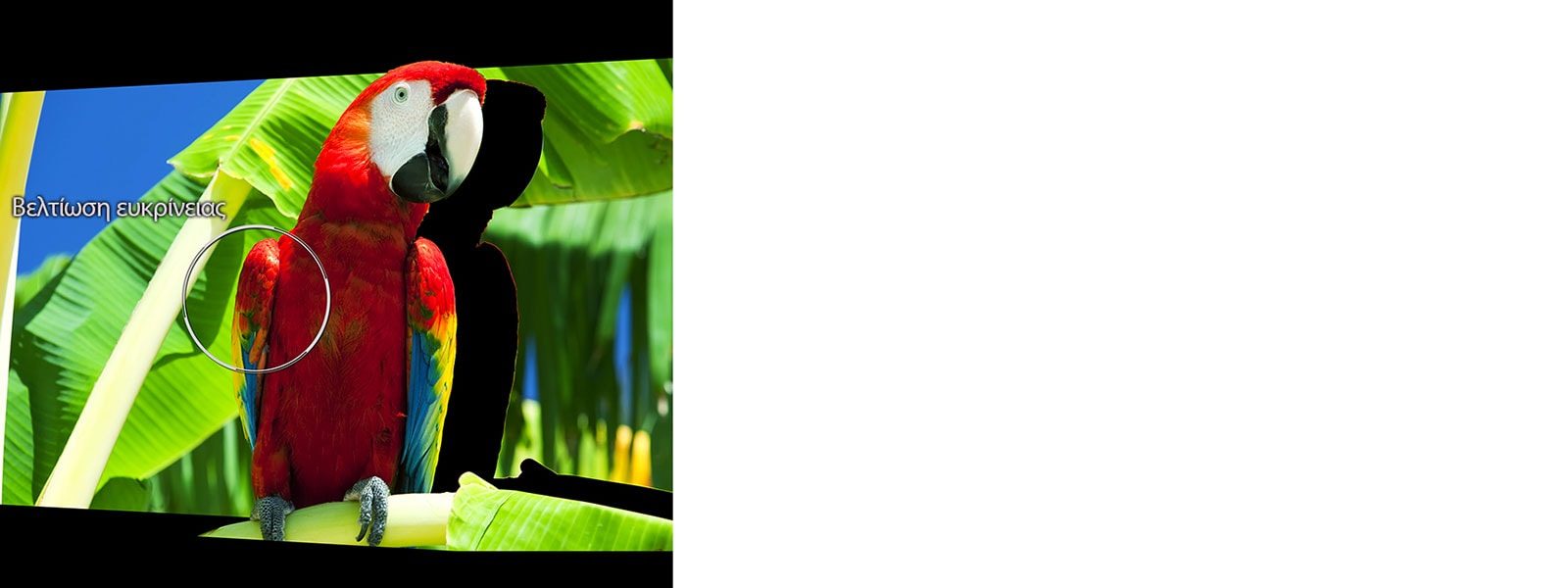 Βελτίωση ευκρίνειας βάσει συχνότητας1