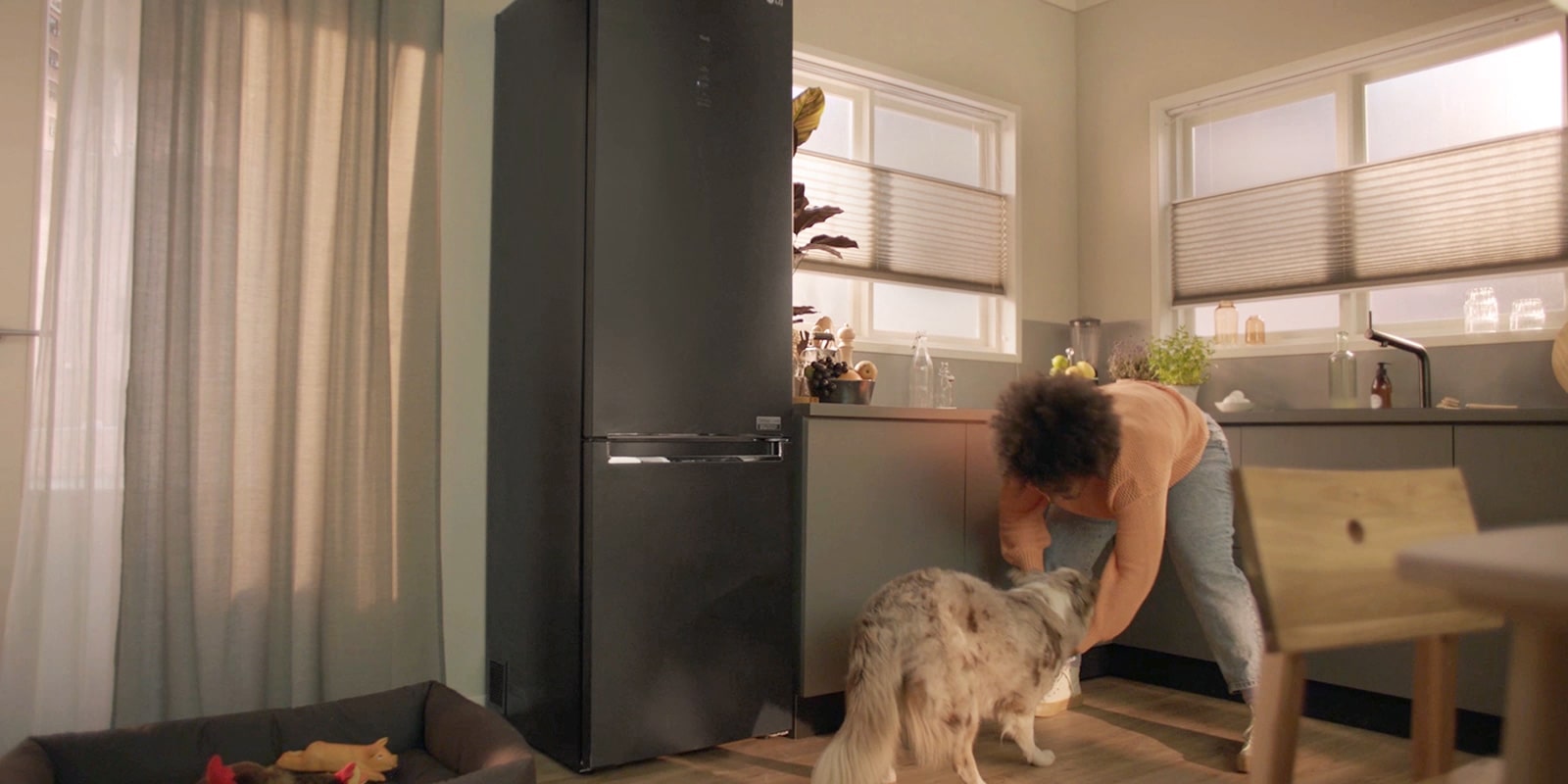 Μια γυναίκα και ένας σκύλος παίζουν δίπλα στο ψυγείο. Αυτή η εικόνα διαδέχεται την άλλη εικόνα. Στο ψυγείο υπάρχει ένα αυτοκόλλητο που υποδεικνύει την ενεργειακή κλάση Α.