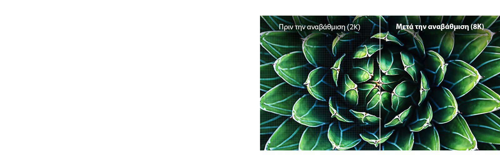 Συγκριτικό αναβάθμισης σε ανάλυση 8K με εικόνες "πριν" και "μετά". Η εικόνα του "πριν" είναι θολή.