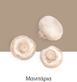 REF-NatureFRESH-Vplus-03-UsefulTips-04-9-Mushrooms