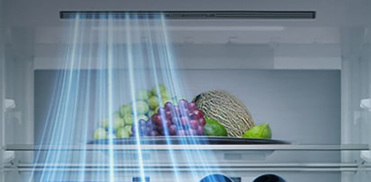 Ψυγειοκαταψύκτης LG -  εσωτερική όψη με ράφια γεμάτα φρούτα, λαχανικά, ποτά και σνακ με μπλε γραμμές ροής αέρα από την αριστερή πλευρά