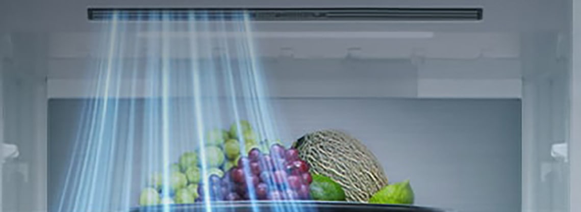 Ψυγειοκαταψύκτης LG -  εσωτερική όψη με ράφια γεμάτα φρούτα, λαχανικά, ποτά και σνακ με μπλε γραμμές ροής αέρα από την αριστερή πλευρά