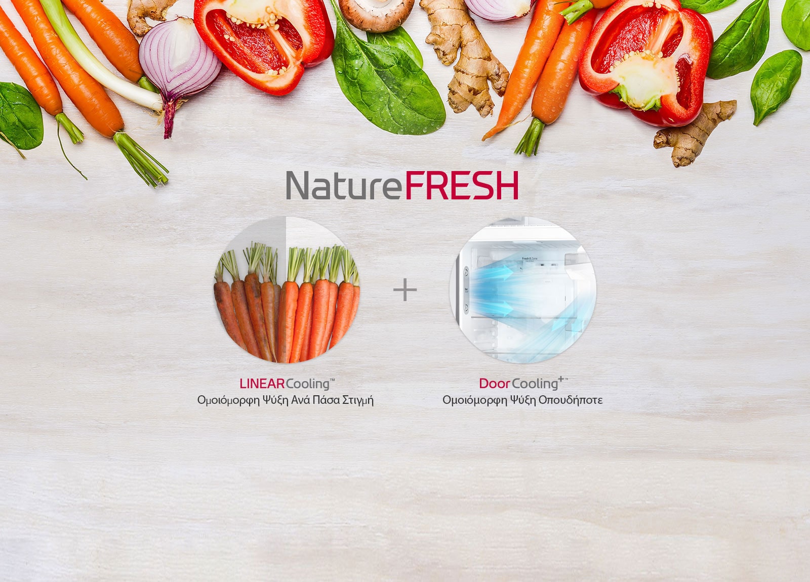 GTB523SWCZD_NatureFRESH01_181017_D