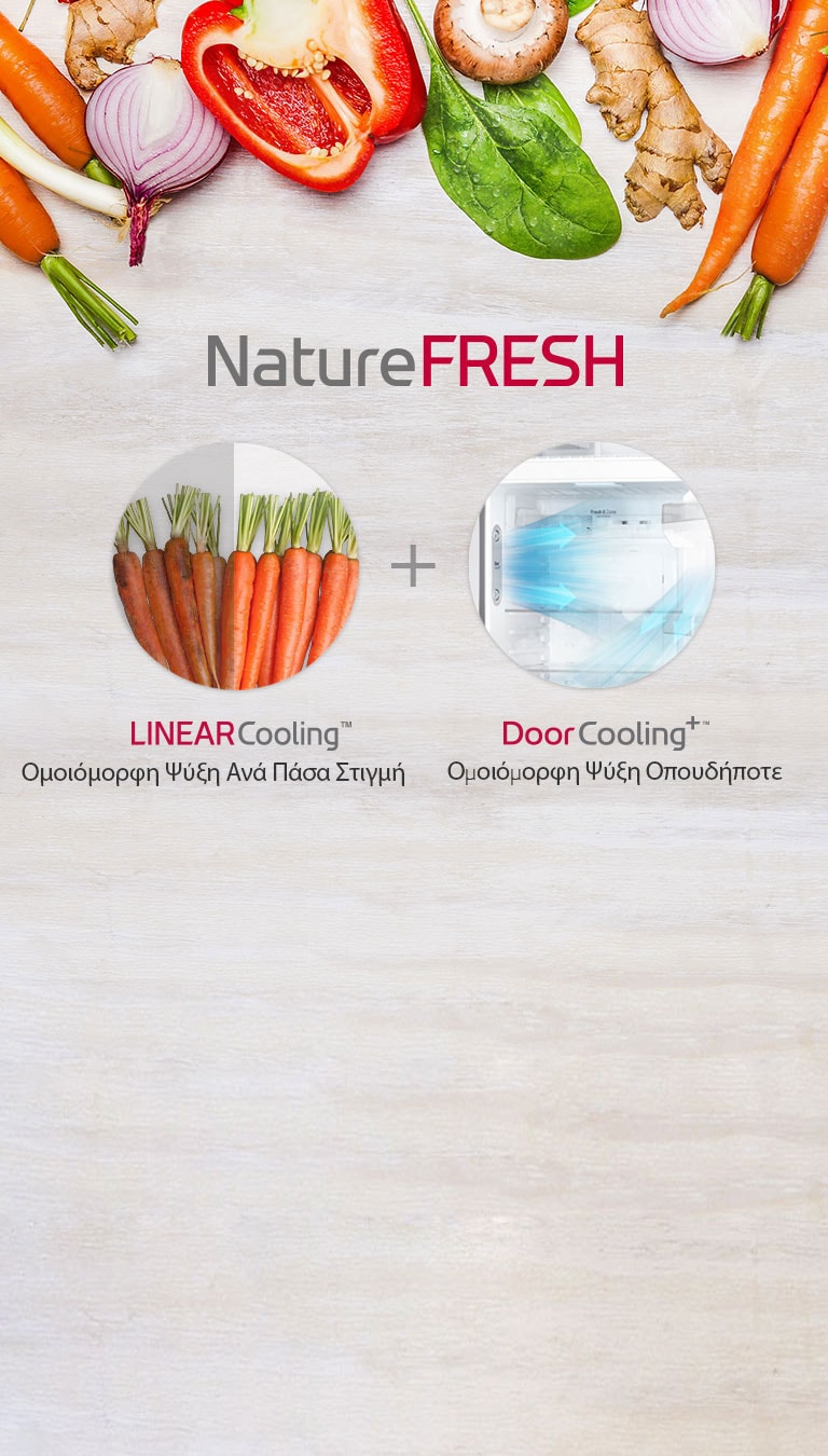 GTB523SWCZD_NatureFRESH01_181017_M