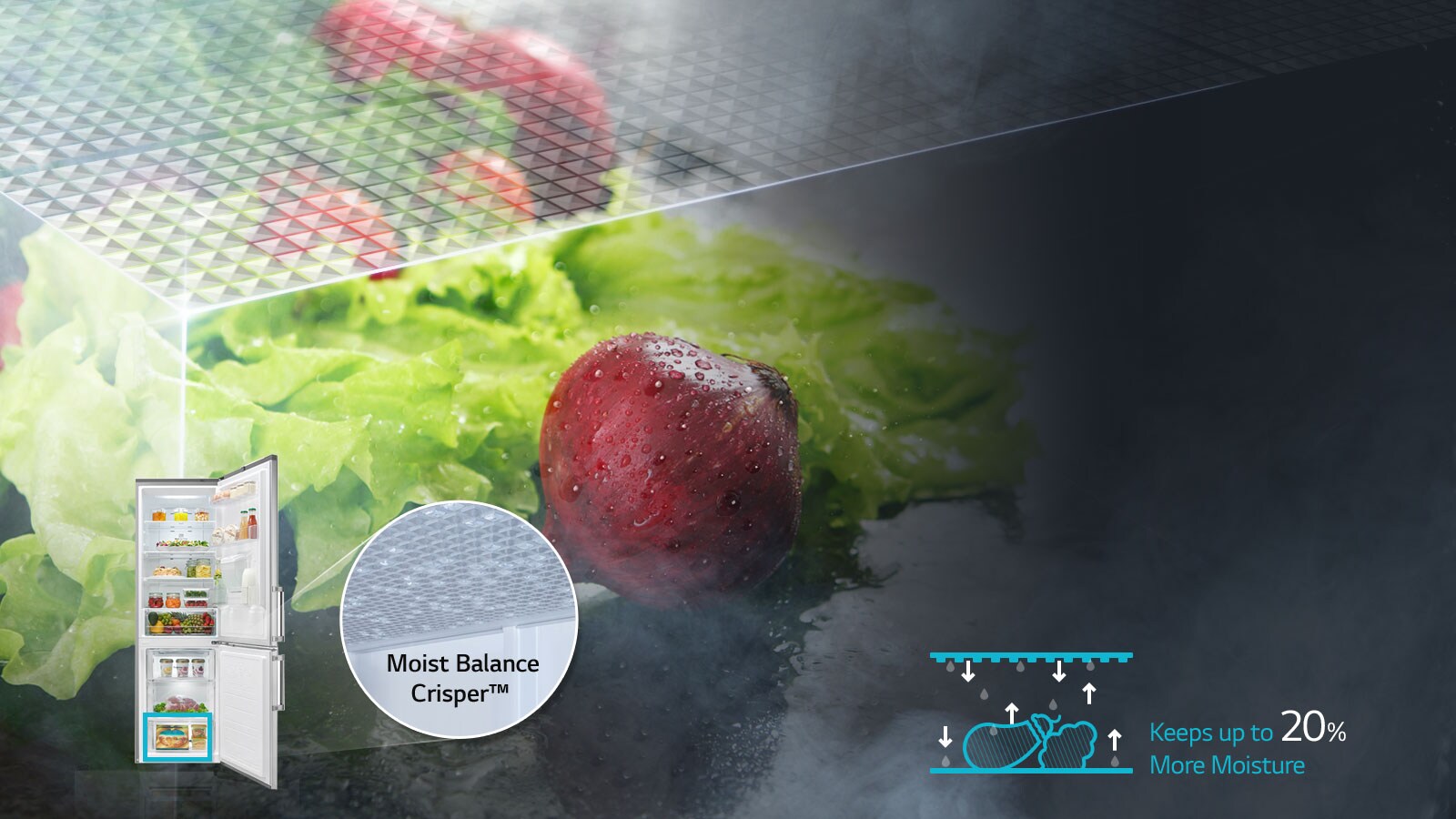 Λειτουργία Moist Balance Crisper™ 1