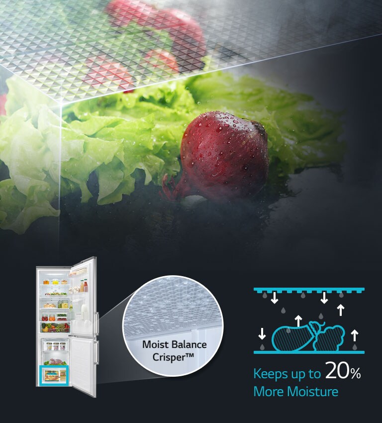 Λειτουργία Moist Balance Crisper™ 2