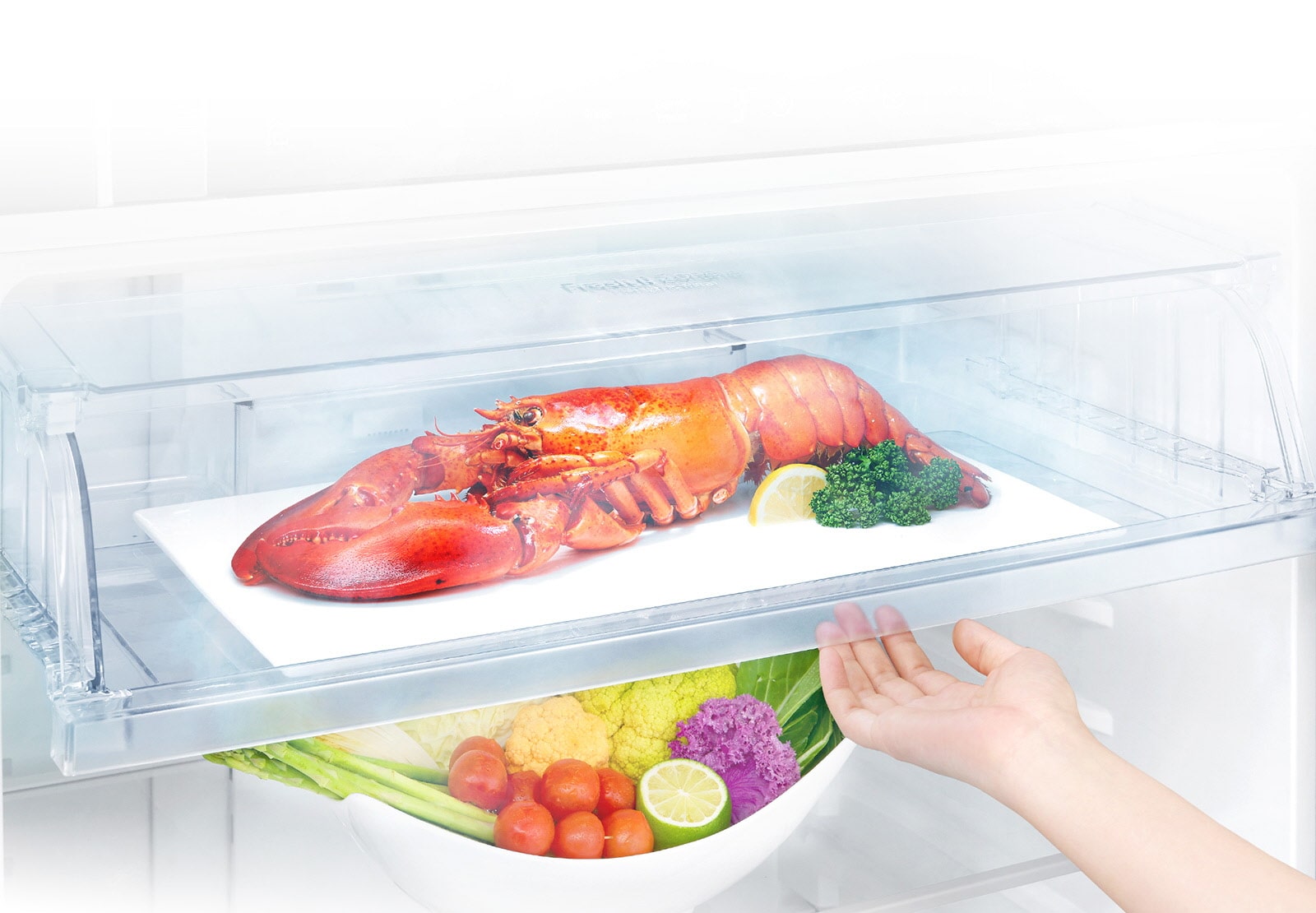 Εξοικονομήστε χρόνο από την απόψυξη3