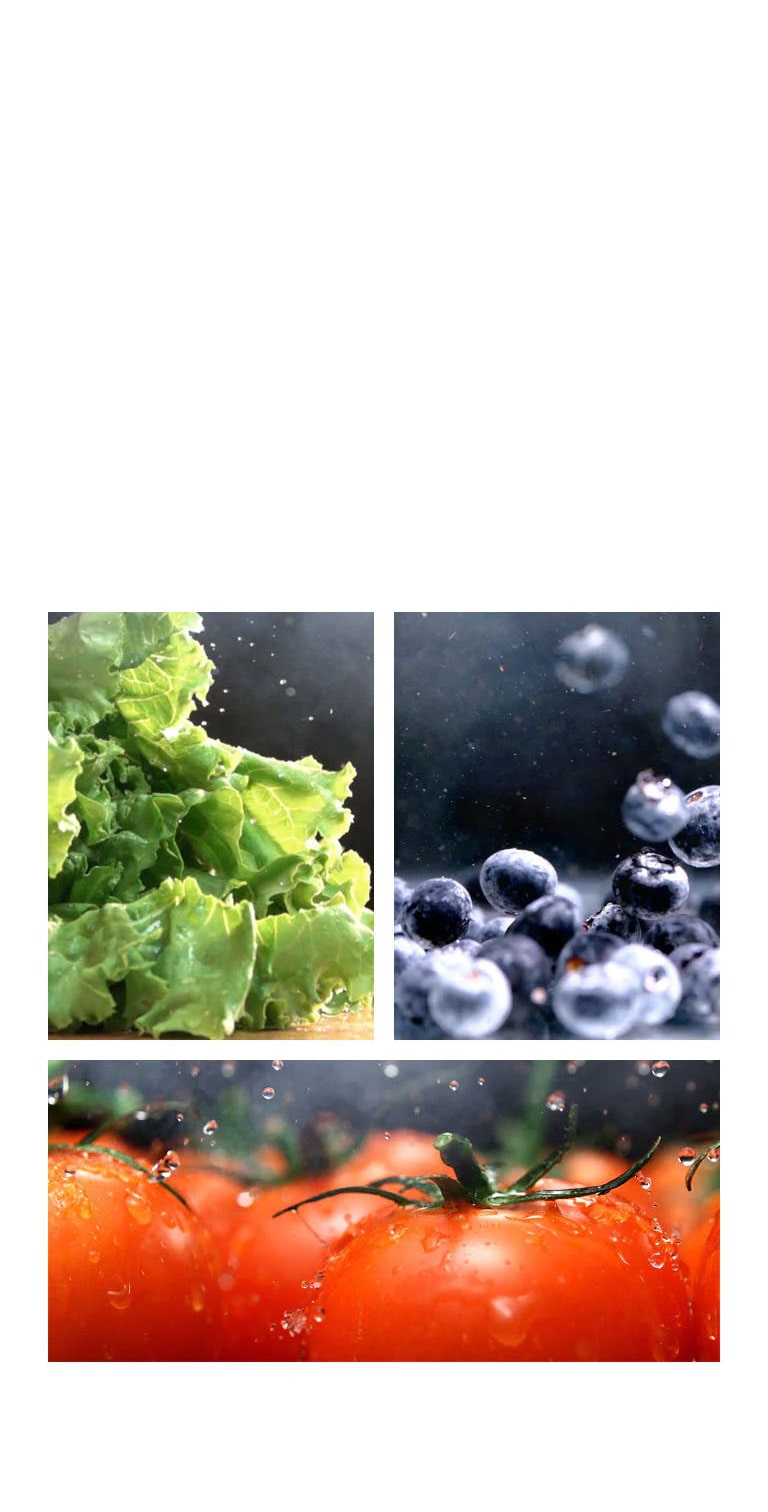 Βίντεο που δείχνει σε κοντινό πλάνο νερό να στάζει από ένα τραγανό, πράσινο μαρούλι, το οποίο διαδέχεται ένα κοντινό πλάνο με νερό που πέφτει πάνω σε φρέσκιες κόκκινες ντομάτες, ενώ στη συνέχεια δείχνει υγρά μούρα σε ζωηρό χρώμα.