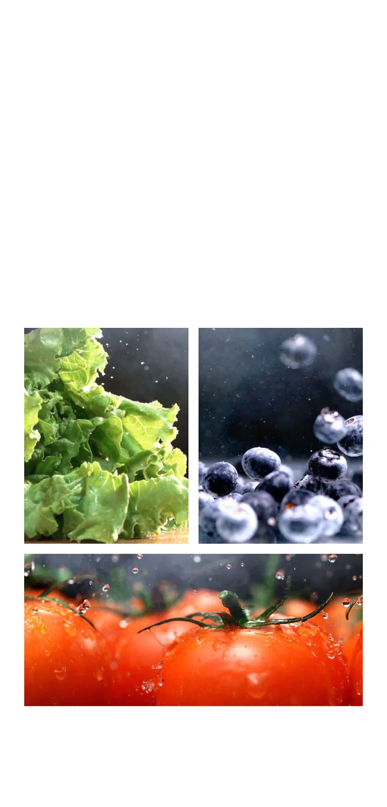 Βίντεο που δείχνει σε κοντινό πλάνο νερό να στάζει από ένα τραγανό, πράσινο μαρούλι, το οποίο διαδέχεται ένα κοντινό πλάνο με νερό που πέφτει πάνω σε φρέσκιες κόκκινες ντομάτες, ενώ στη συνέχεια δείχνει βρεγμένα μούρα σε ζωηρό χρώμα.