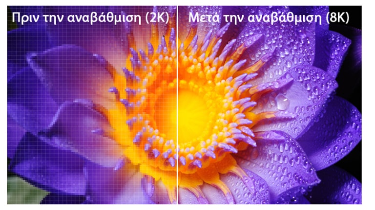 Η εικόνα ενός λουλουδιού στην αρχική ανάλυση 2K στα αριστερά και αναβαθμισμένο σε ανάλυση 8K, στα δεξιά.