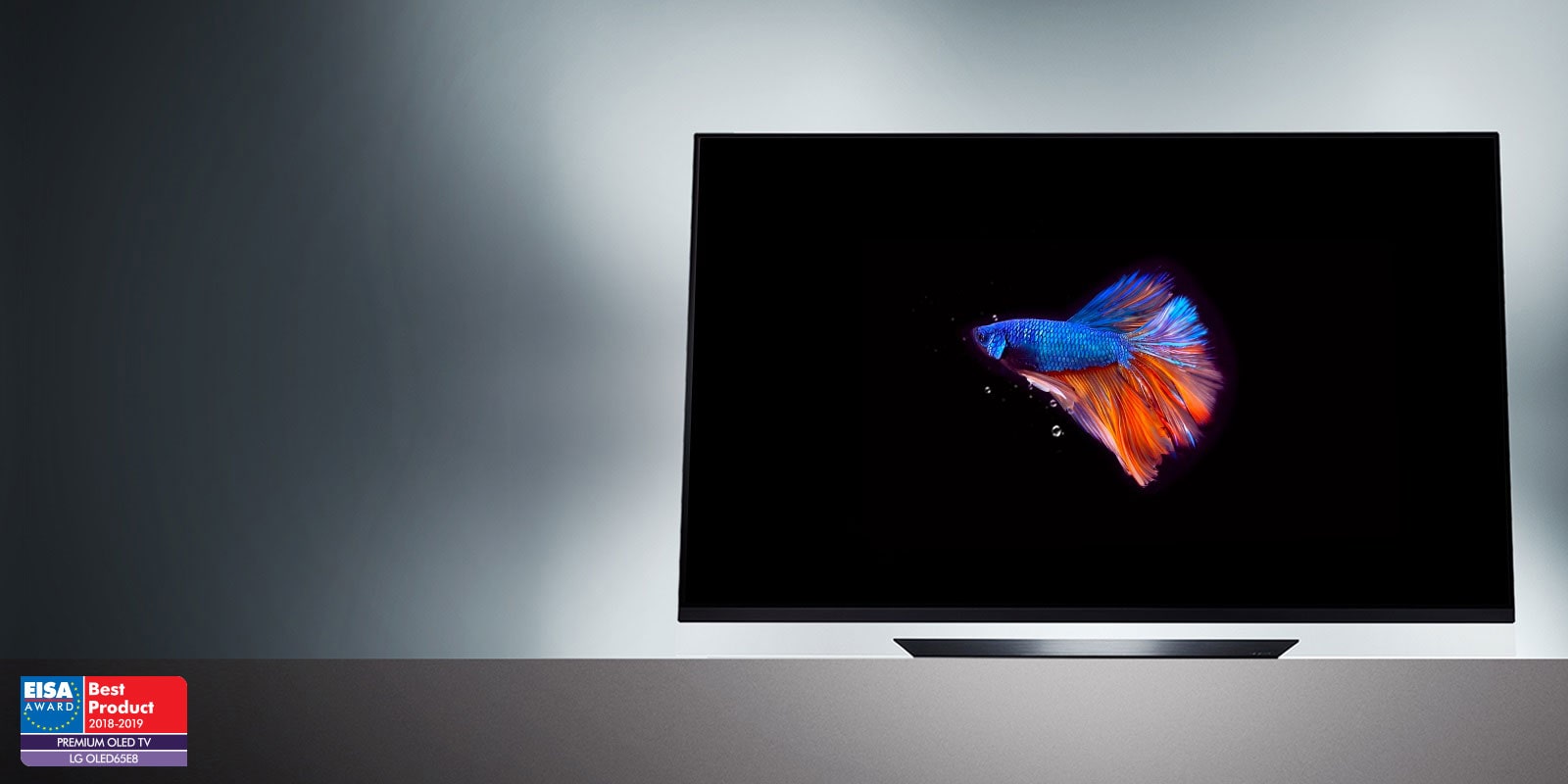 OLED_E8_Banner_desktop