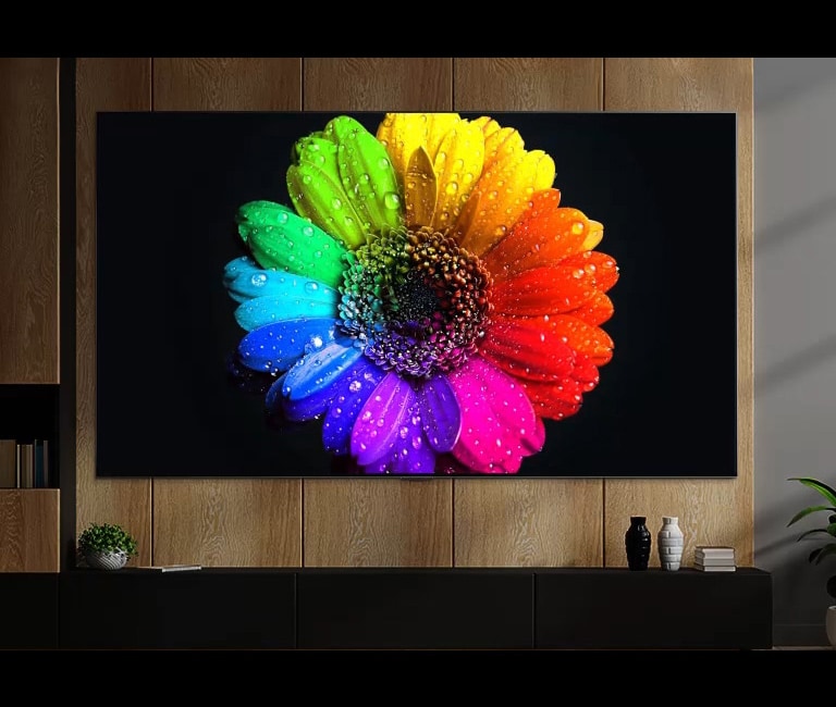 Τα μίνι φώτα LED στο εσωτερικό της τηλεόρασης ανάβουν και γεμίζουν ολόκληρη την οθόνη της τηλεόρασης και στο τέλος μετατρέπονται σε ένα ιδιαίτερα πολύχρωμο λουλούδι στην τηλεόραση.