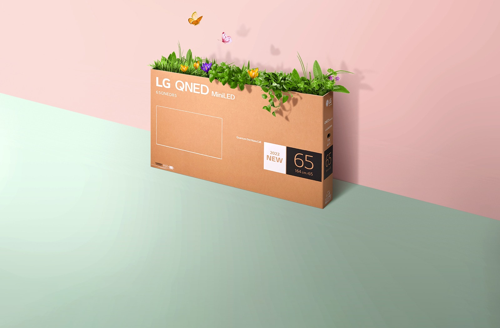 Ένα κουτί συσκευασίας της QNED τοποθετημένο σε ροζ και πράσινο φόντο. Υπάρχει γρασίδι που φυτρώνει και πεταλούδες που βγαίνουν από το εσωτερικό του κουτιού. 