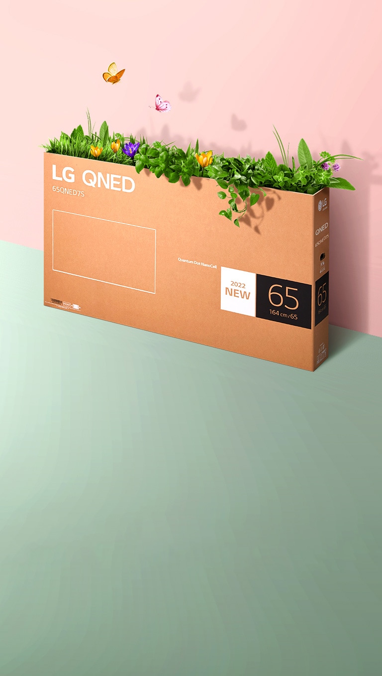 Ένα κουτί συσκευασίας της QNED τοποθετημένο σε ροζ και πράσινο φόντο. Υπάρχει γρασίδι που φυτρώνει και πεταλούδες που βγαίνουν από το εσωτερικό του κουτιού. 