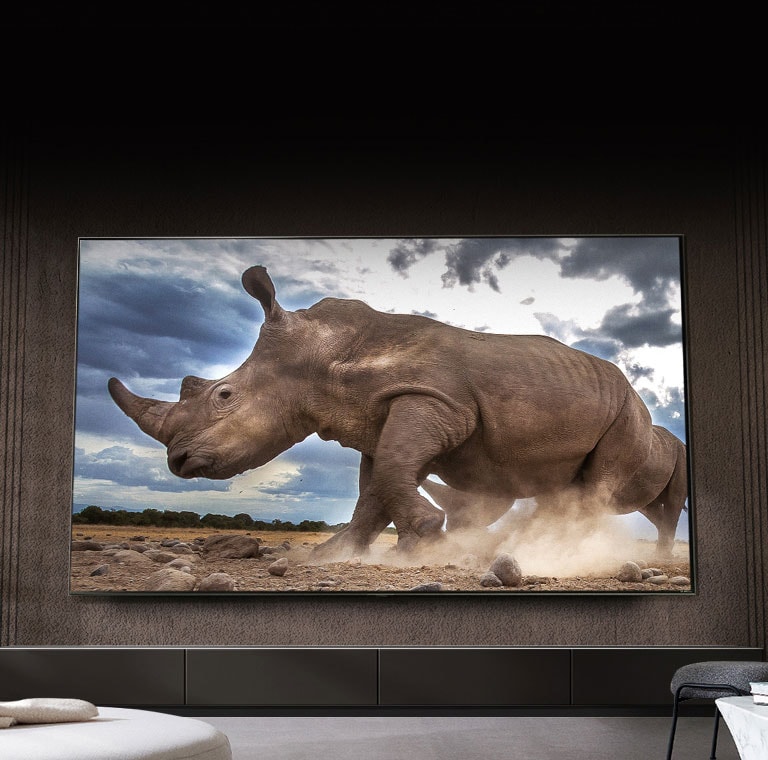 Η εξαιρετικά μεγάλη οθόνη QNED προβάλλεται υπέροχα σε χαμηλές γωνίες.