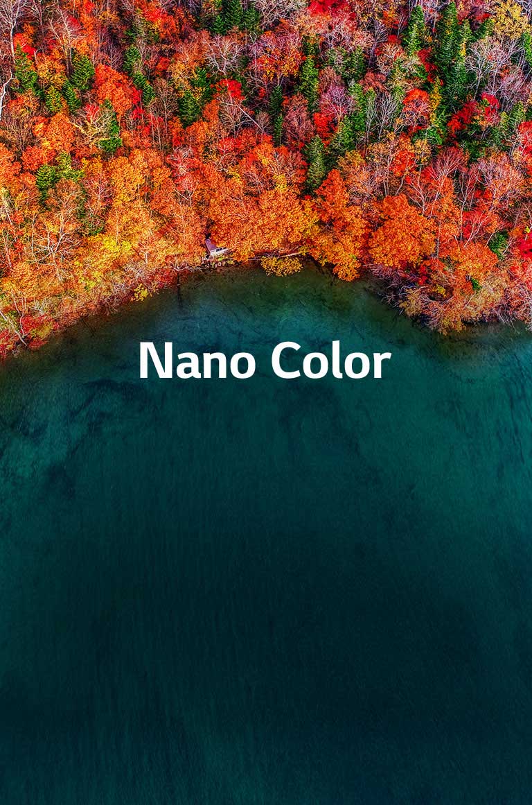 Αληθινά Χρώματα2