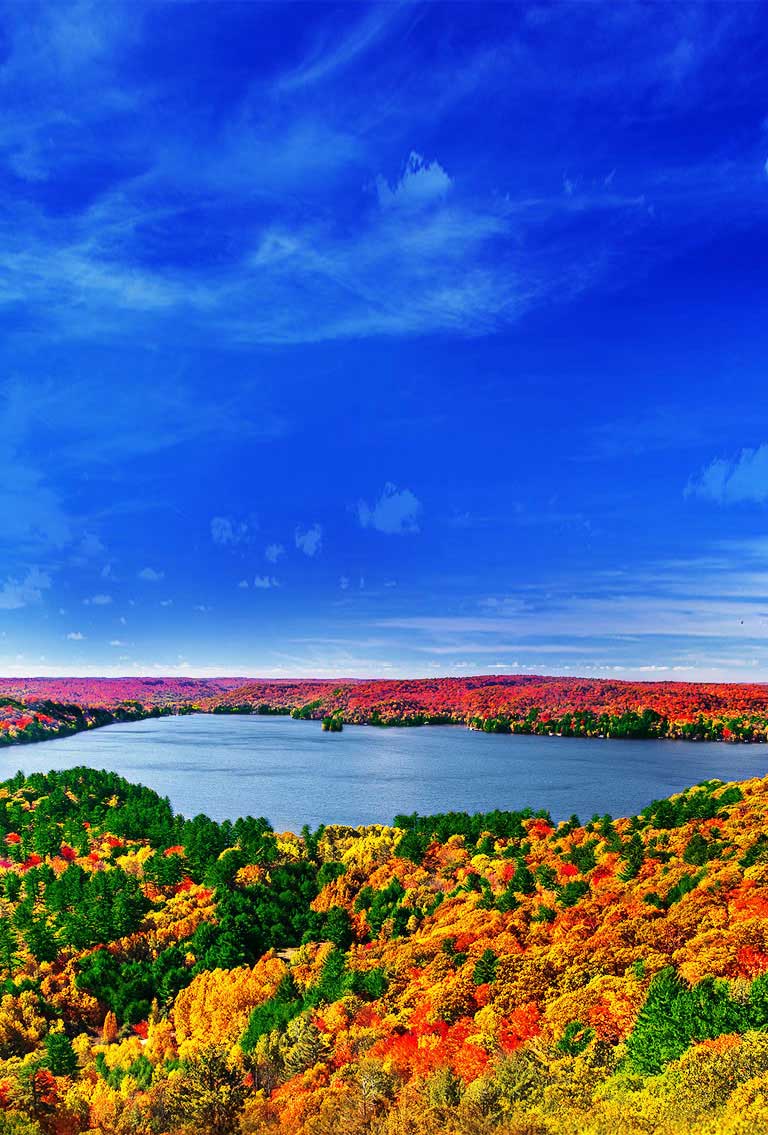 Τετραπύρηνος επεξεργαστής: η πηγή των εικόνων 4Κ2