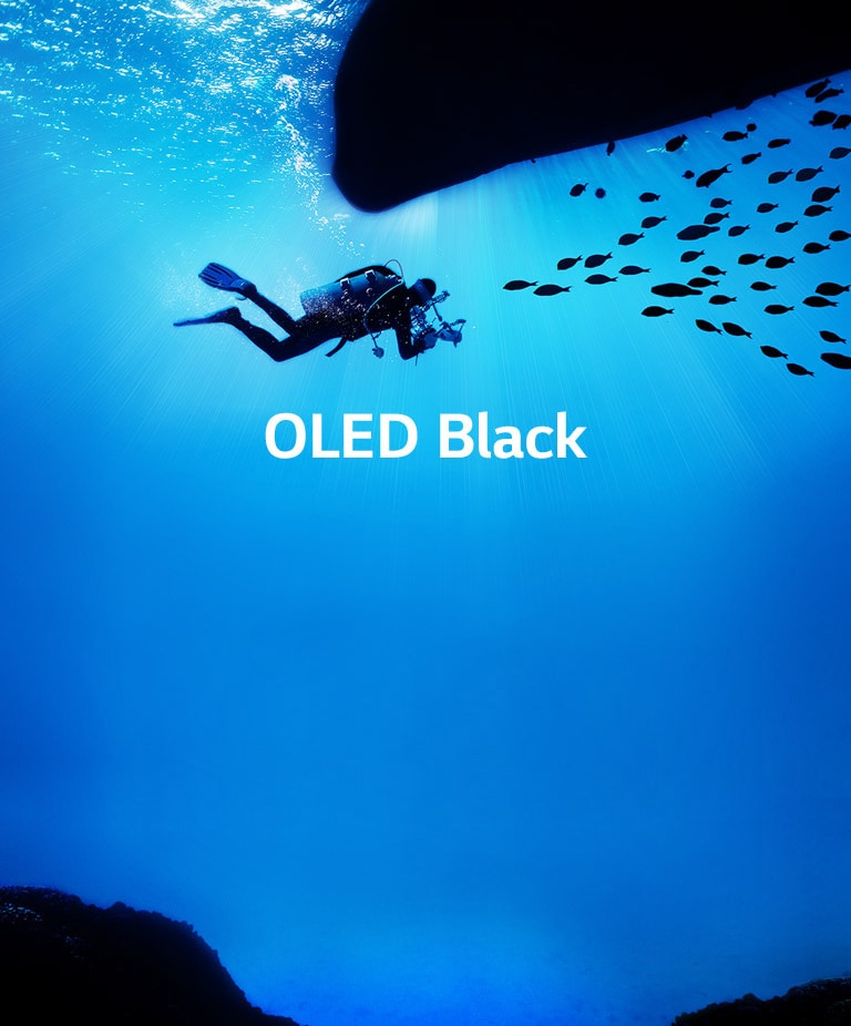 TV-SIGNATURE-OLED-W9-04-OLED-Display-Desktop-V10Fix