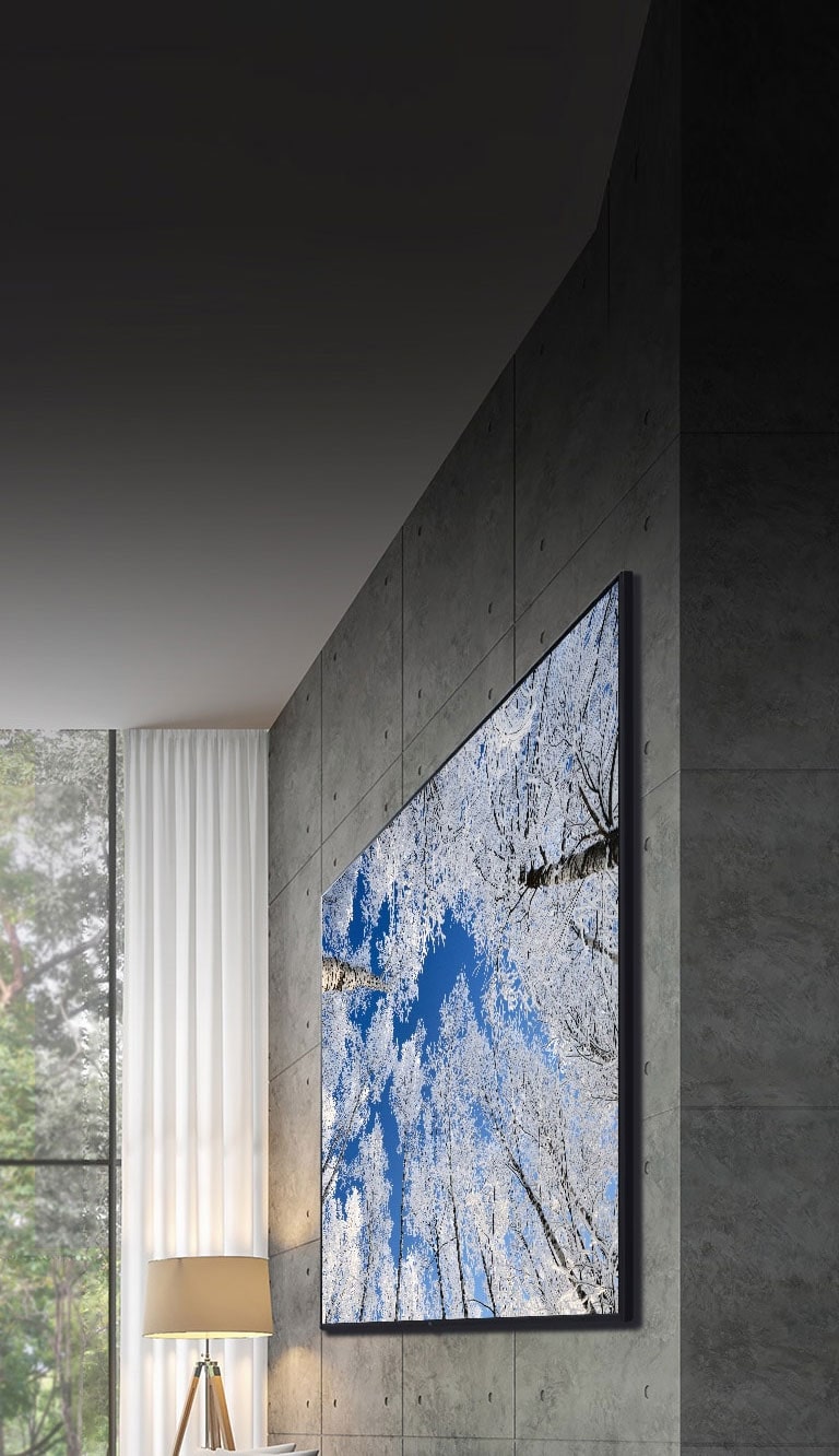 Η κάμερα μετακινείται καθοδικά από ένα κοντινό πλάνο του πάνω μέρους της τηλεόρασης προς ένα κοντινό πλάνο του μπροστινού μέρους της. Στην οθόνη της τηλεόρασης φαίνεται ένα πράσινο σέλας. Η κάμερα κάνει σμίκρυνση για να δείξει τον πολύ μεγάλο χώρο του σαλονιού. Το σαλόνι έχει γενικά γκρι απόχρωση και φαίνεται ένα δάσος έξω από το παράθυρο.