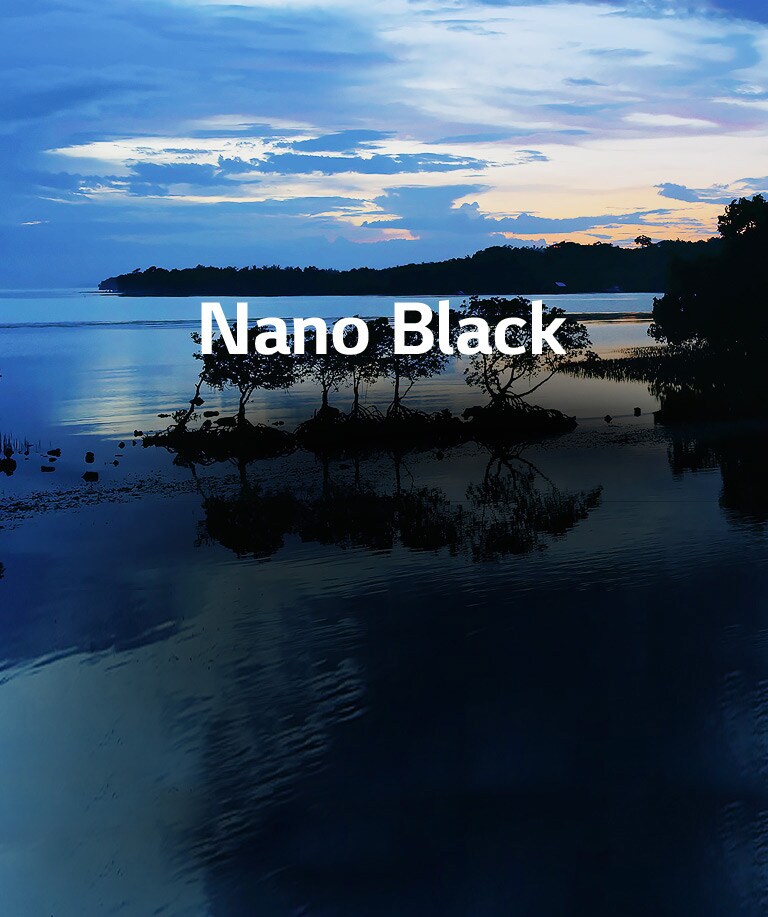 TV-NanoCell-65-55-49-SM90-04-Nano-Black-Mobile-V001