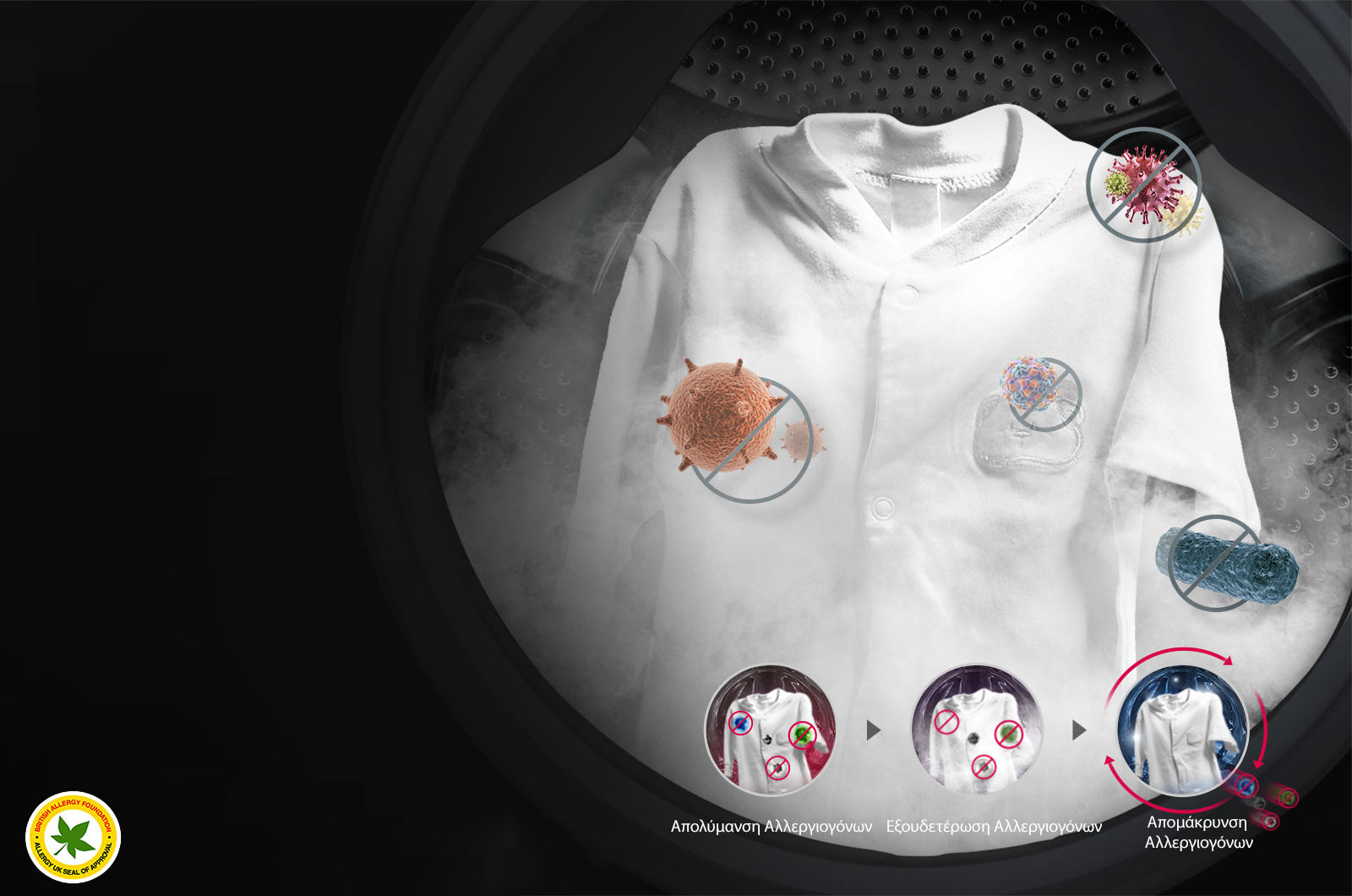 Εξάλειψη αλλεργιογόνων με τη δύναμη του ατμού3