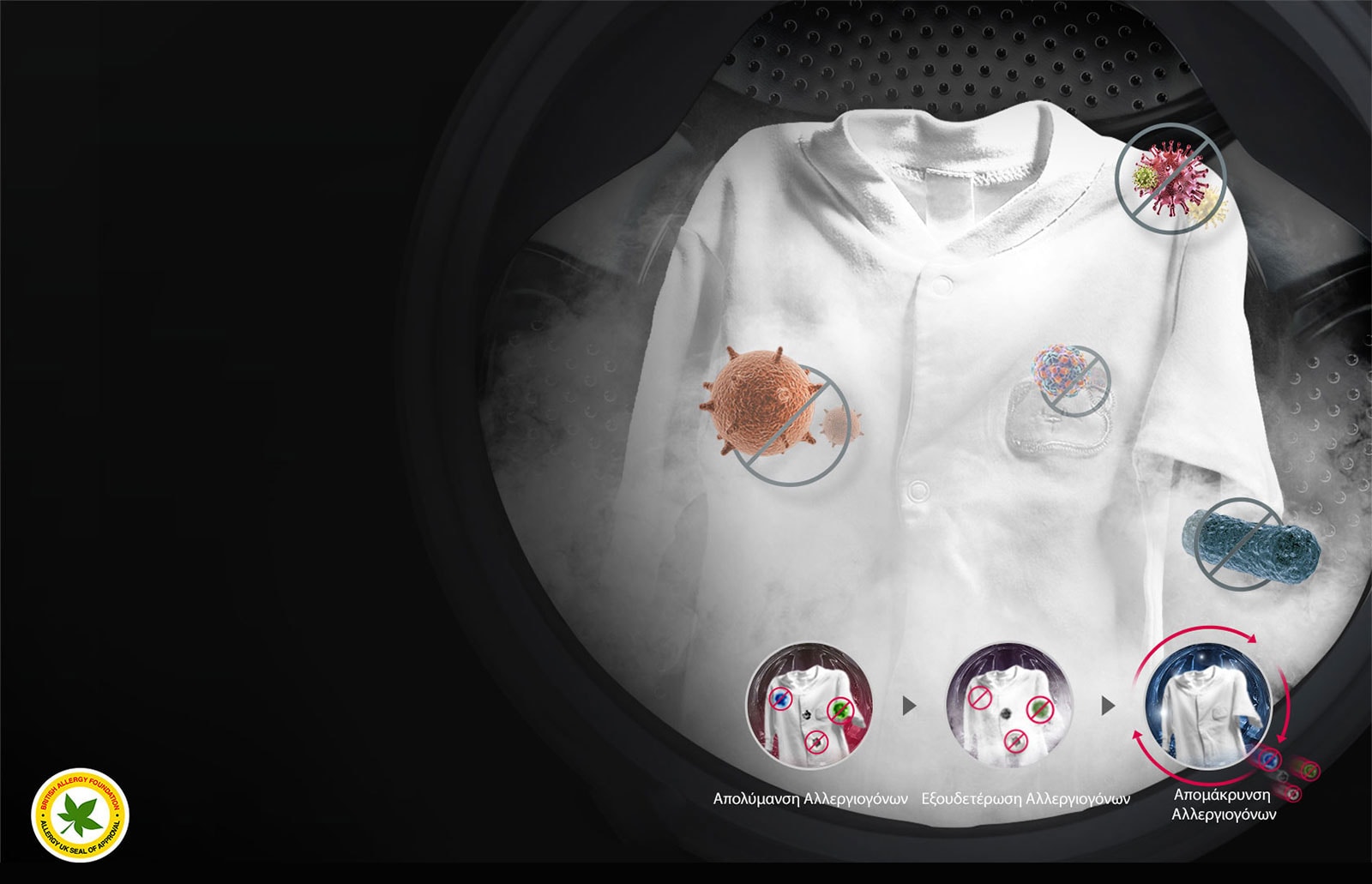 Εξάλειψη αλλεργιογόνων με τη δύναμη του ατμού3