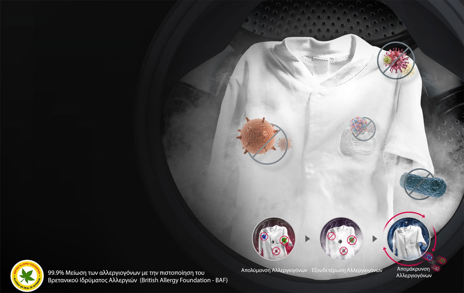 Εξάλειψη αλλεργιογόνων με τη δύναμη του ατμού<br>3