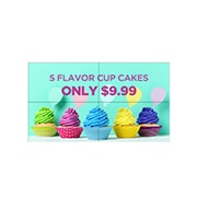 LG Σειρά VL5PF, 49VL5PF-A, thumbnail 1