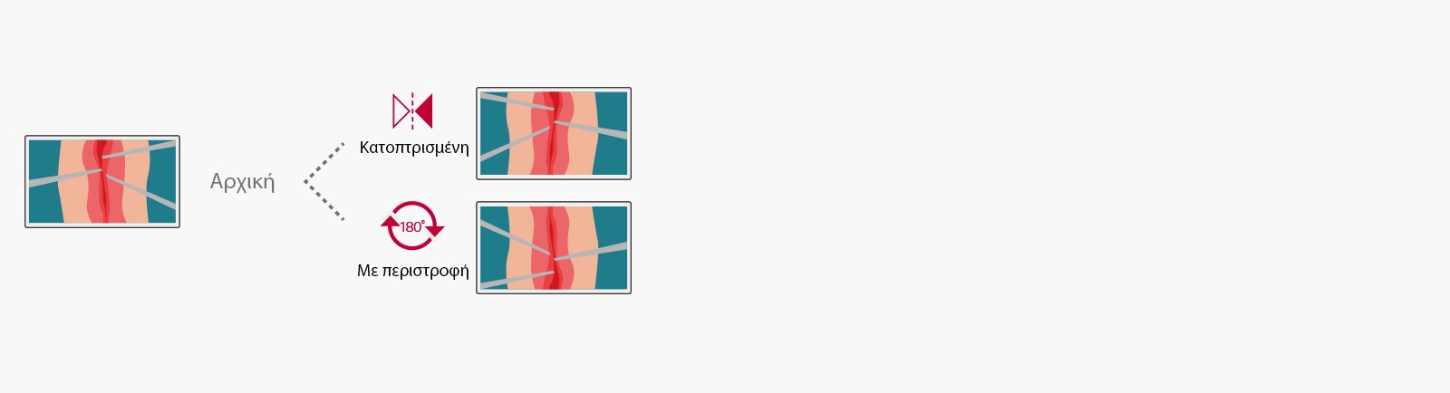 Αναποδογυρίστε και περιστρέψτε εύκολα το μόνιτορ για να το προσαρμόσετε στις ανάγκες σας. Οι λειτουργίες κατοπτρισμού και περιστροφής σας επιτρέπουν να επιλέξετε μια άνετη απεικόνιση με περιστροφή 180 μοιρών/ κατοπτρισμένη εικόνα.