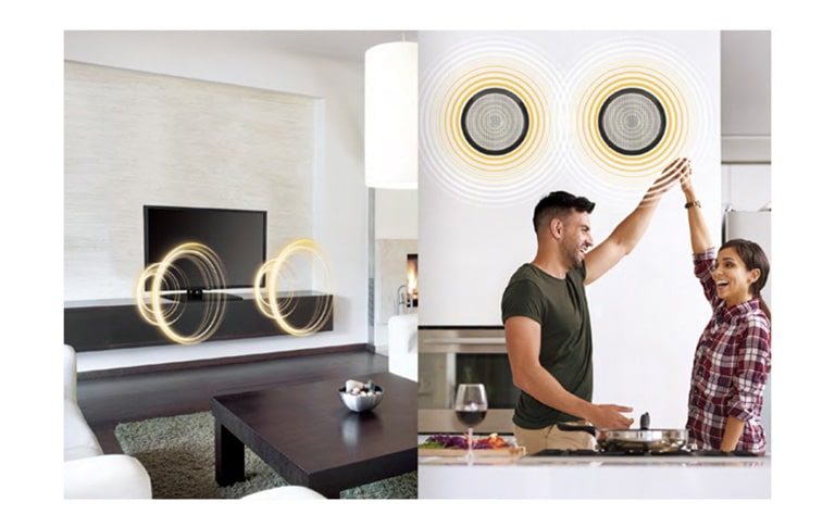 Έξοδος εξωτερικού ηχείου2