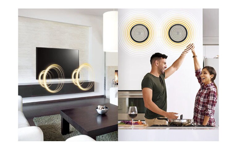 Έξοδος εξωτερικού ηχείου2