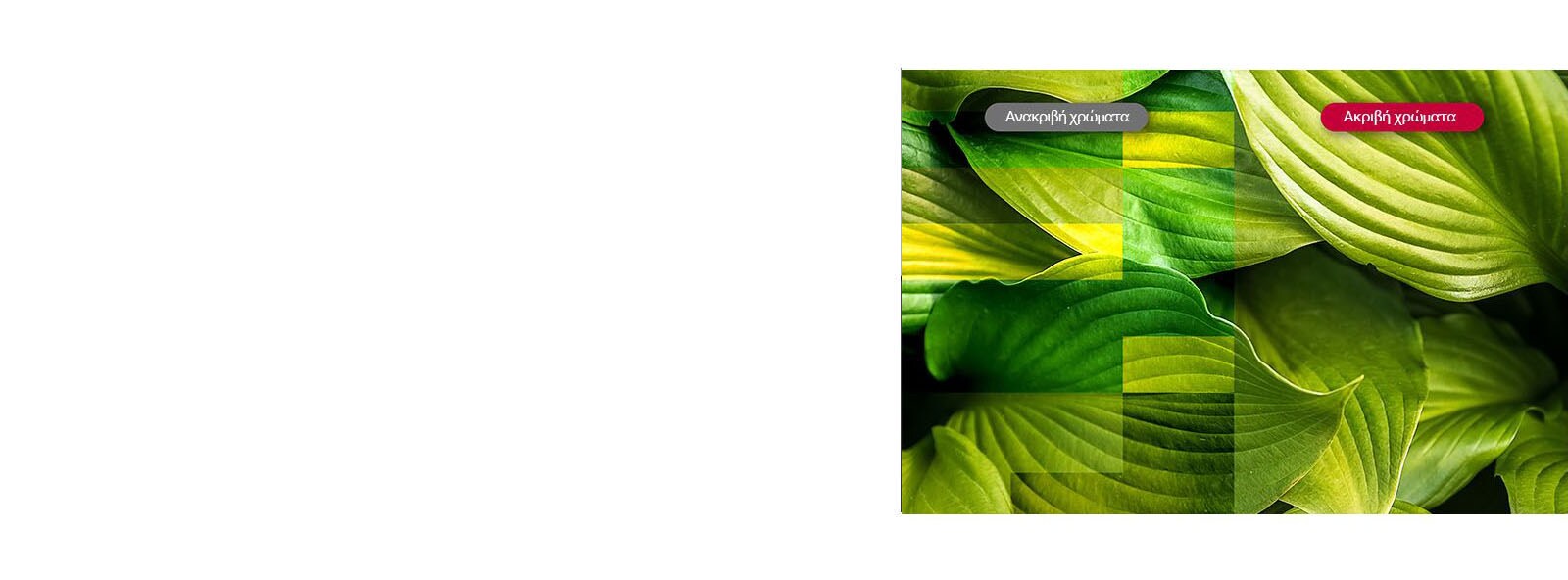 Ζωντάνια με χρωματική ακρίβεια