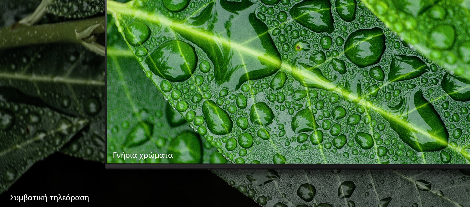 Πραγματική ανάλυση 4Κ με σαφή χρώματα