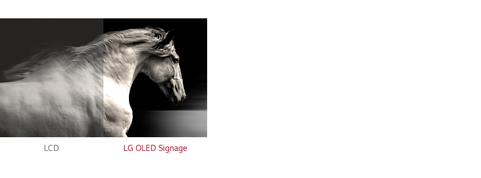 Η LG OLED Signage αποδίδει καλύτερη αντίθεση μεταξύ μαύρου και λευκού από μια τυπική LCD.