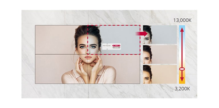 Στο μοντέλο VM5J-H υπάρχει η δυνατότητα προσαρμογής της θερμοκρασίας χρώματος από 3.200K έως 13.000K σε διαβαθμίσεις των 100K.