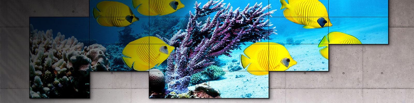 Information Display. Aναβαθμίστε την επιχείρησή σας.