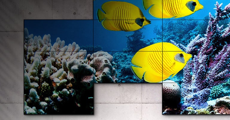 Information Display. Aναβαθμίστε την επιχείρησή σας.