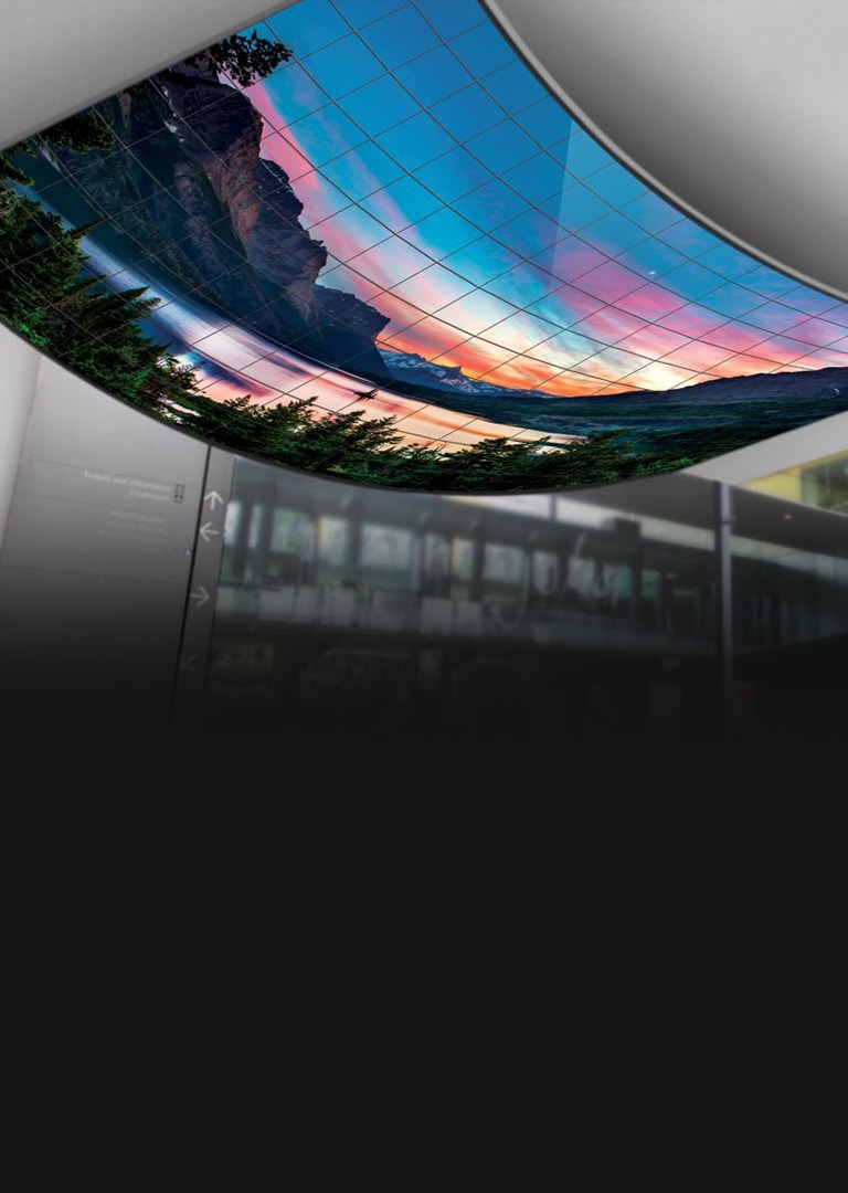 Flexible Open Frame OLED Signage