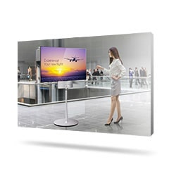 02.icon_02.OLED_02.Dual-view-Flat