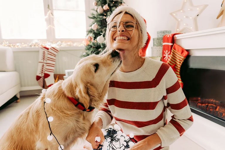 lg-magazine-christmas-spirit-article-keyvisual