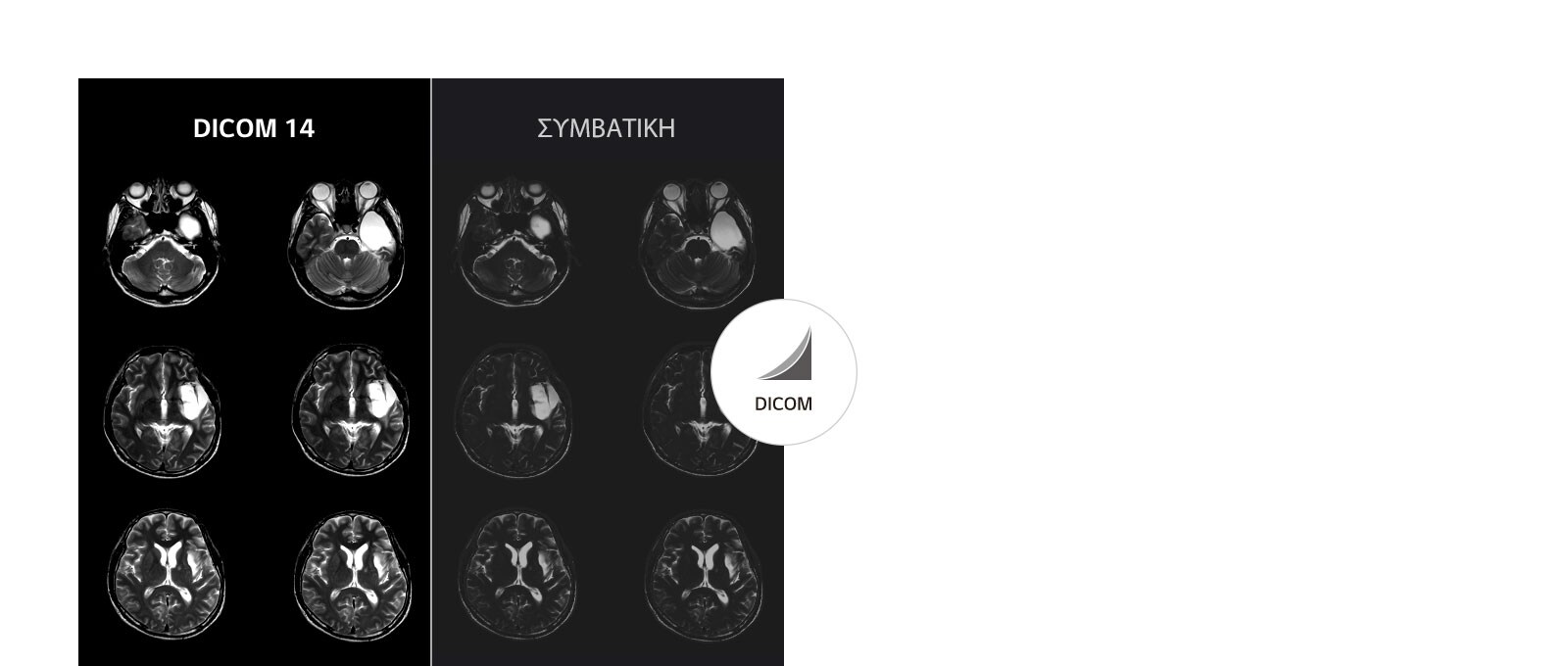 Σταθερές εικόνες σε κλίμακα του γκρι
