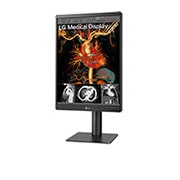 LG Διαγνωστική οθόνη LG IPS 3MP 21,3', πλαϊνή όψη σε γωνία +15 μοιρών, 21HQ513D-B, thumbnail 3