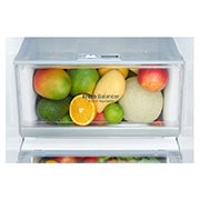 LG Ψυγείο Ντουλάπα Κάθετης Διάταξης (SxS) Total No Frost 1790 x 91,2 cm, GSJ960NSCZ, GSJ960NSCZ, thumbnail 8