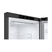 LG Ψυγειοκαταψύκτης Total No Frost 186 x 59,5 cm , Basiclay_i-micom, GBP61DSPGN, thumbnail 7